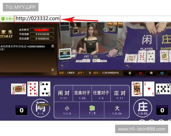 bbin波音官网游戏玩法攻略,全面提升您的游戏技巧与赢取概率体验 bbin波音官网游戏玩法攻略,全面提升您的游戏技巧与赢取概率体验